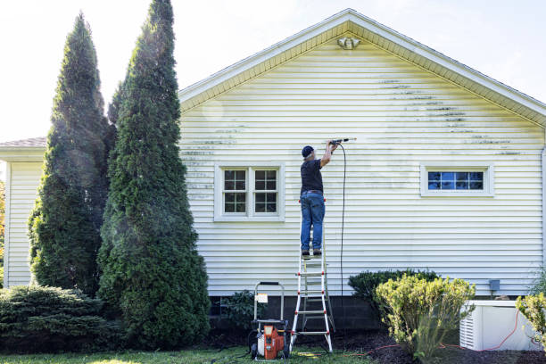 Best Sidewalk and Walkway Cleaning  in New Hope, AL