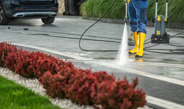 Best Driveway Pressure Washing  in New Hope, AL